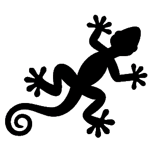 Gecko