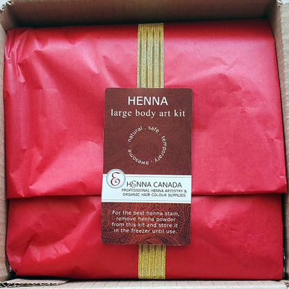 Henna Body Art Kit