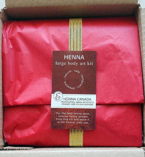 Large Henna Body Art Kit